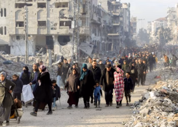 “O sistema agrícola não existe mais”: em Gaza, apenas 4,6% da terra é cultivável