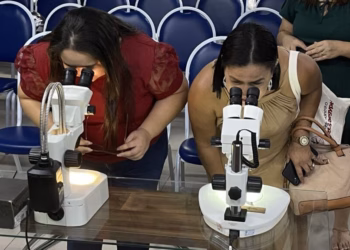 Projeto contra Aedes aegypti em Mâncio Lima e Cruzeiro do Sul