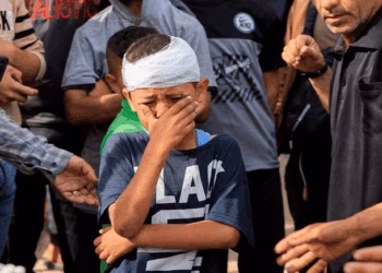 Ataques em Gaza matam mais de 100 pessoas