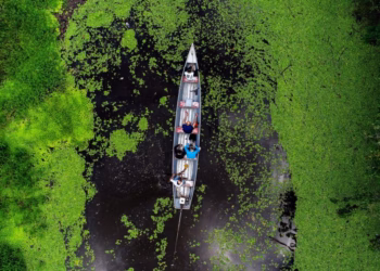 Acre: dia do meio ambiente