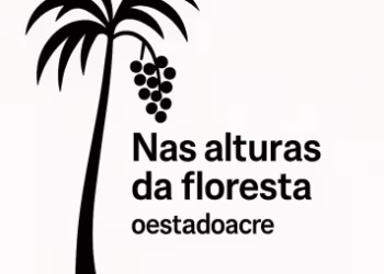 O açaí nas mãos do extrativista📹