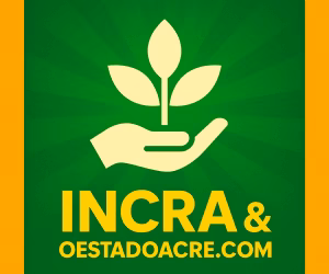 Mutirão no Acre avança direitos de centenas de famílias