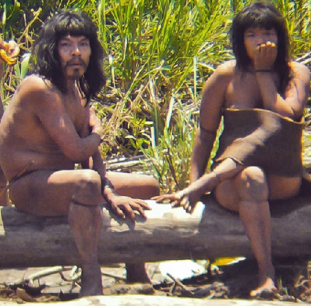 isolados