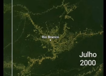 Amazônia exposta…📹