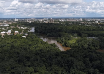 Estudantes do Ifac Transacreana participam hoje do projeto Floresta em Evidência