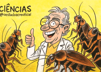 Baratas podem ajudar a baratear e limpar a produção de etanol