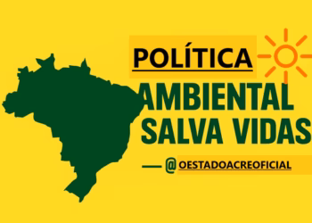 Desmatamento tropical mata 28 mil pessoas por ano