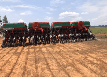 Idaf define prazo para plantio da soja no Acre na safra 2025/2026