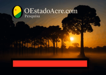 Castanha do Brasil: floresta não se vende📹