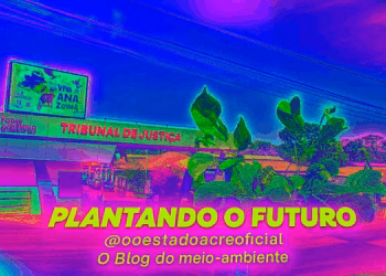 Plantando o Futuro: Justiça do Acre vai cultivar 15 mil árvores