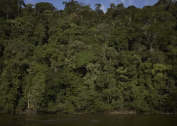 Calor extremo avança no centro-norte da Amazônia