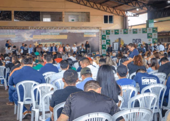 Recursos federais garantem construção de 58 pontes no Baixo Acre