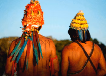 Munduruku volta ao topo do desmatamento entre terras indígenas da Amazônia