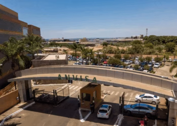 Anvisa proíbe produtos de cannabis e cogumelos de três empresas por falta de registro