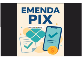emenda pix