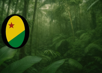 Justiça suspende normas estaduais que enfraqueciam licenciamento ambiental