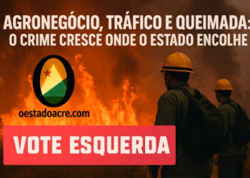 Agronegócio, tráfico e queimada: o crime cresce onde o Estado encolhe